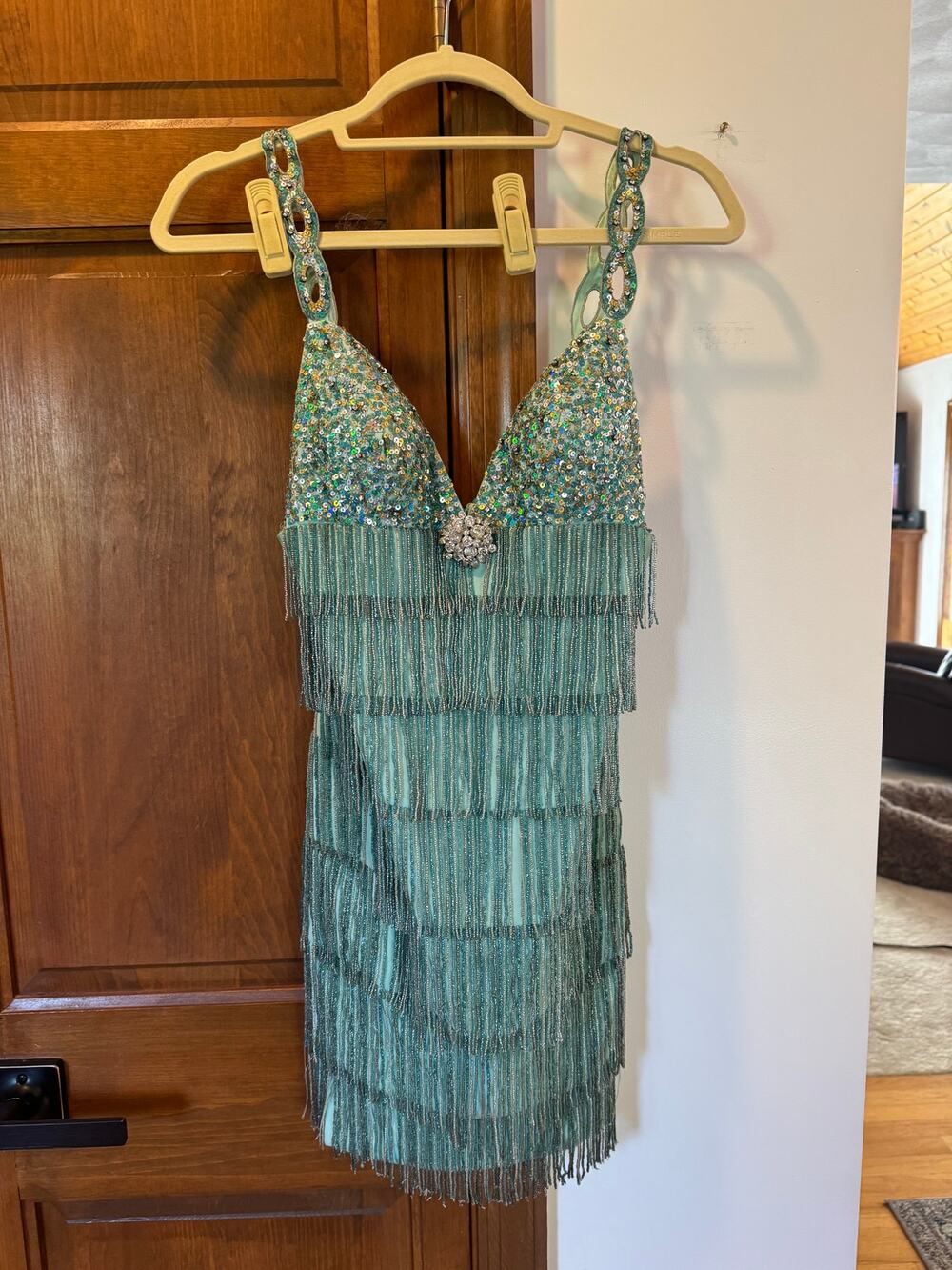 Terani Fringe Dress